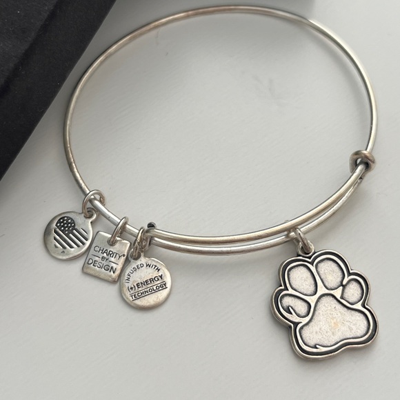 ALEX AND ANI Bracelet - Picture 2 of 3